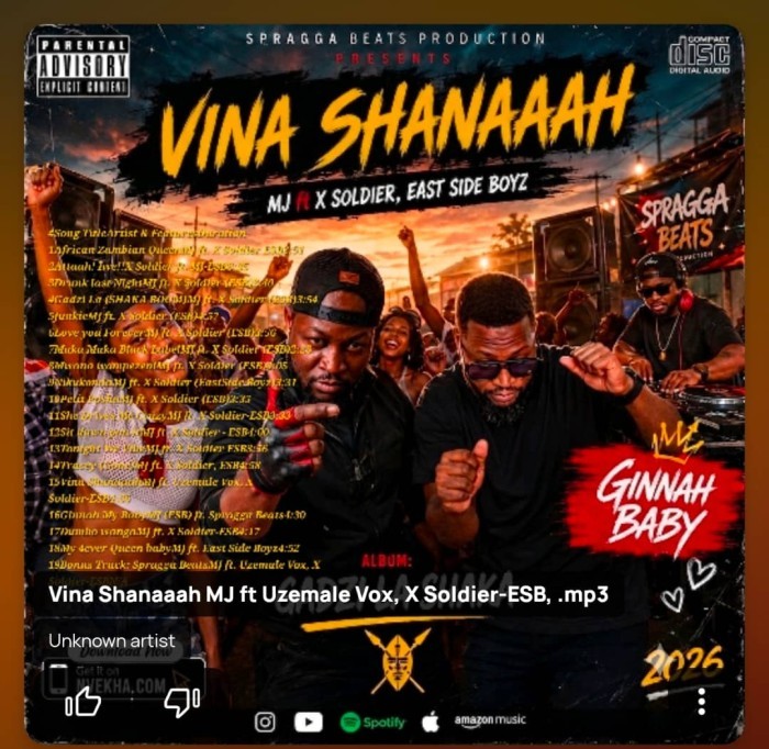 Song Cover