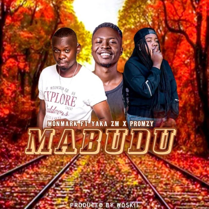 Song Cover