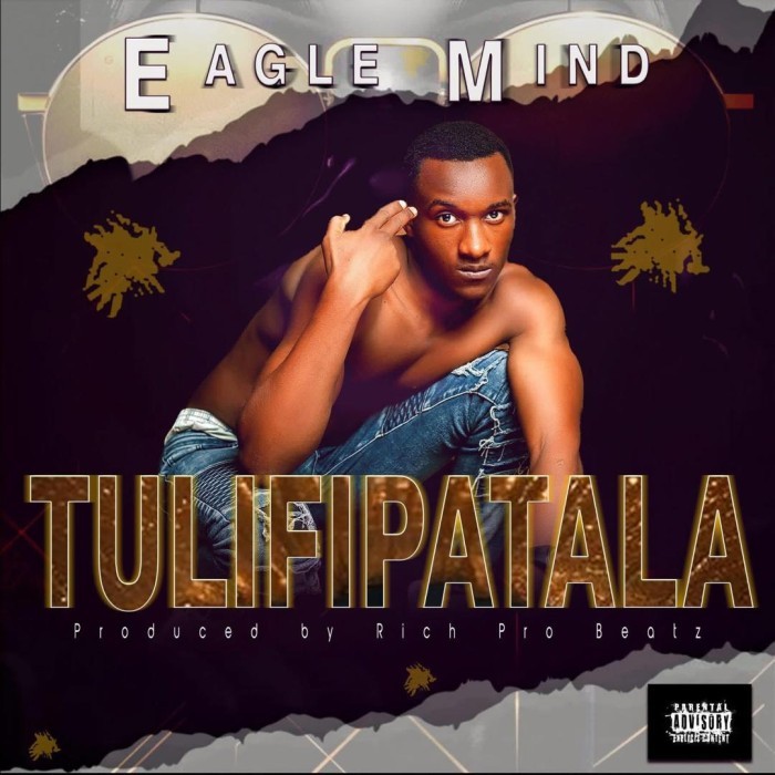 Song Cover