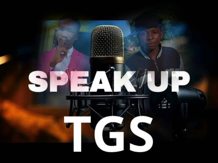 Song Cover