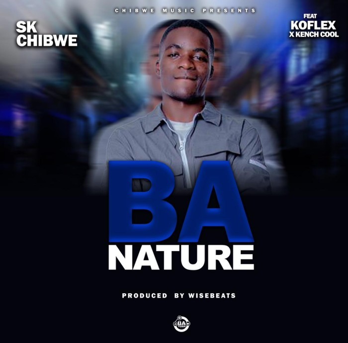 Song Cover