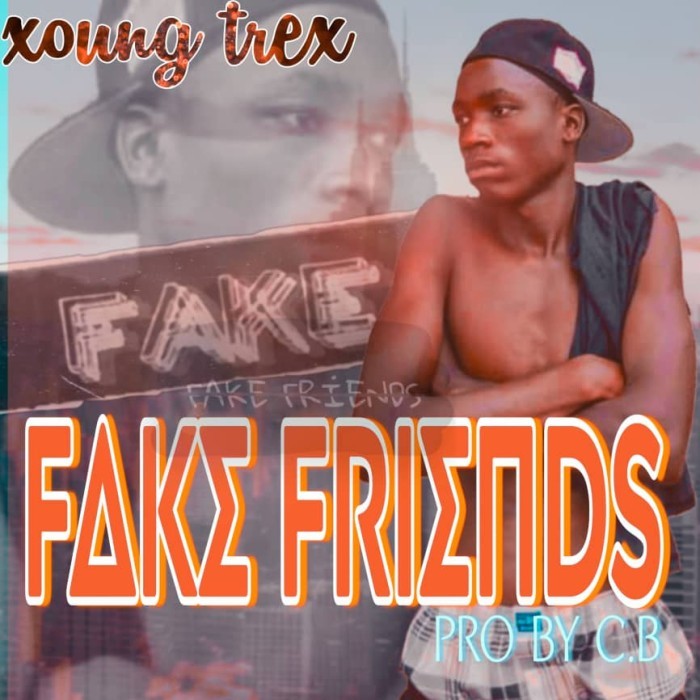 Song Cover
