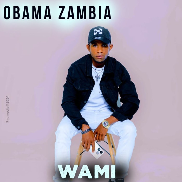 Song Cover